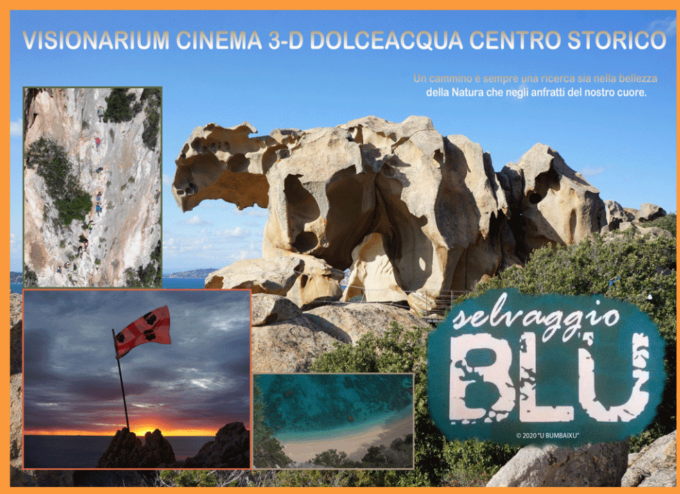 Locandina Selvaggio Blu + Blu